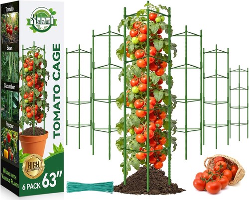 Halatool pack tomato - 6,