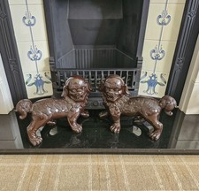 Stunning Pair Brown Dogs Of