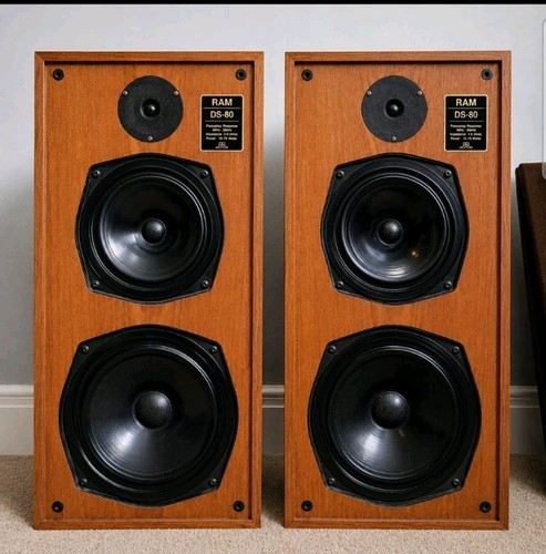 Rare vintage ram - rare, ds-80