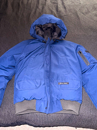 Canada goose chilliwack - goose,