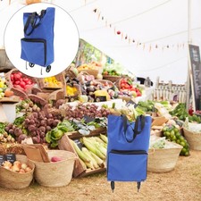  Shopping Bags with Wheels