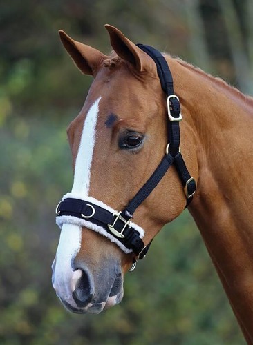 Shires fleece lined lunge - fleece,
