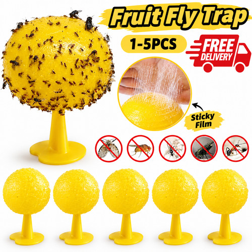 Fruit fly balls ball - fly, trap