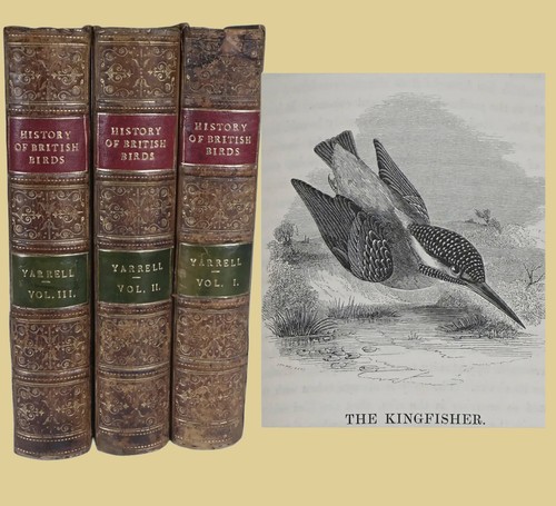 1845 history british - 1845,