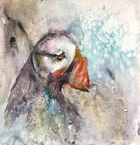 Original watercolour puffin - watercolour,