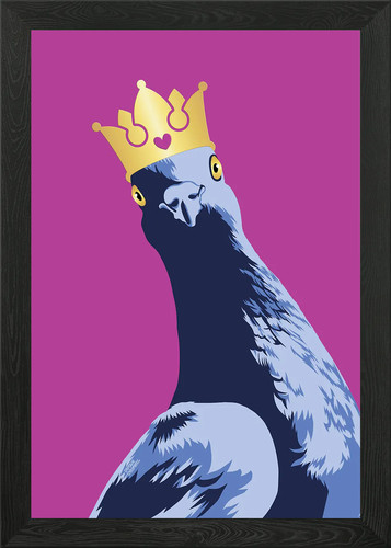 King pigeon framed - pigeon, art
