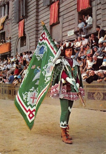 Postcard siena palio - il,