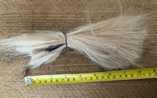 Real genuine horse - horse, hair