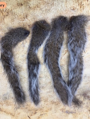 Squirrel tails for crafts - crafts,, fly