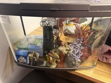 Love Fish Panorama Tank 64L