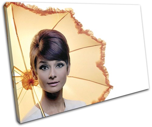 Audrey hepburn iconic - hepburn,