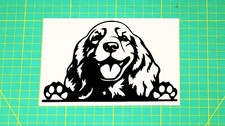 Cocker Spaniel Dog On Board