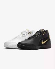 Nike Zoom Lebron NXXT Gen AMPD