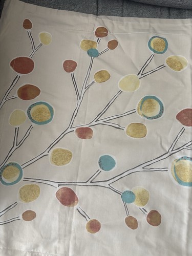 Scion melinki berry tree - scion,