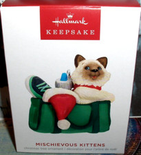 Mischievous Kittens`2023`What