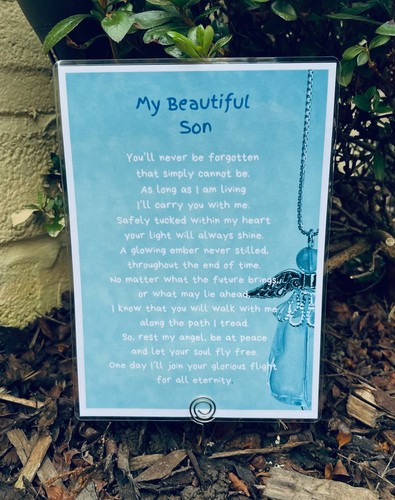 Son heaven memorial grave - son,