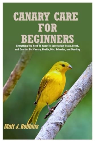 Canary care for beginners - canary,