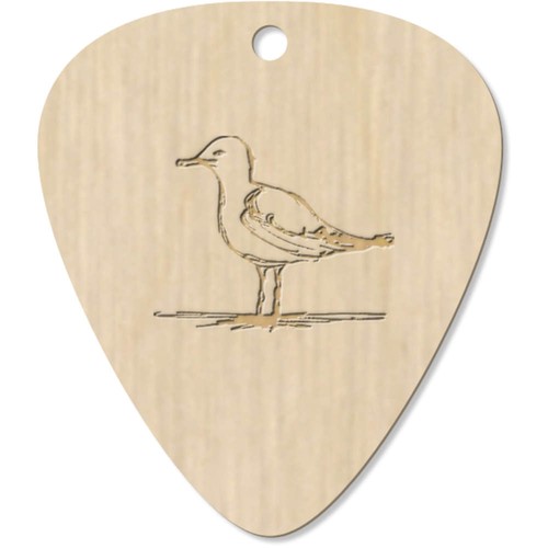 Seagull wooden guitar - 7, x