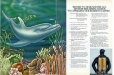 1975 Divator PRINT AD Scuba Diver Breathing System Dolphin Undersea Art