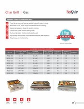 2 BURNER CHARCOAL FLAME GRILL