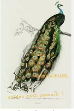 FURNITURE/ WALL DECAL TRANSFER