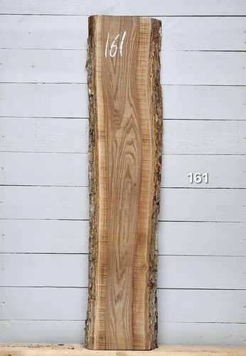 Elm live edge - elm,