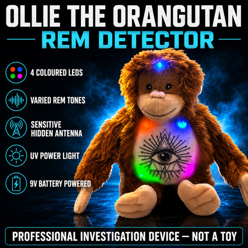 Rem bear sensor - , teddy