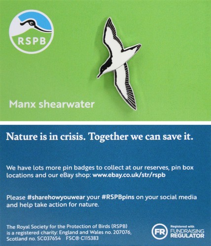 Rspb pin badge niic manx - niic,