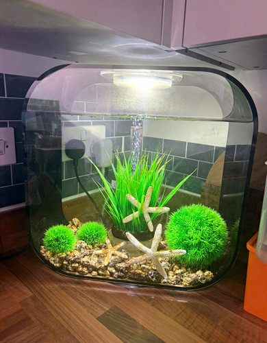 Biorb life 45l black - life,