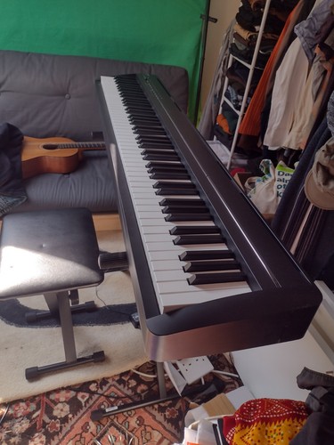Kawai es120 digital piano
