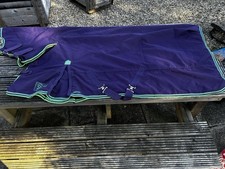 Shires 100g Turnout Rug With