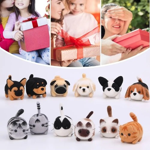 Project needle felting - 12, kit