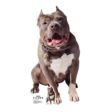 Number One the Pitbull Dog Cardboard Cutout Star Trek: Picard & Tabletop Standee