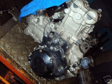 SUZUKI TL 1000 S 1997 1998