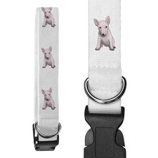 'English Bull Terrier' Dog Collars (PR035599)