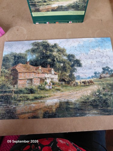 Wentworth jigsaw 250 old - 250,