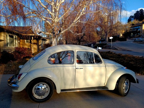 1969 volkswagen beetle - 1969,