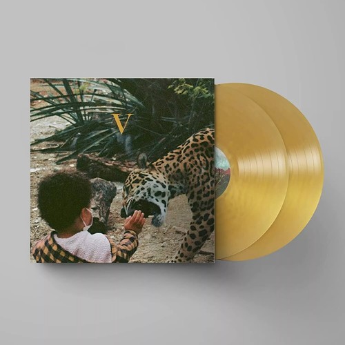 Unknown mortal orchestra - orchestra, v