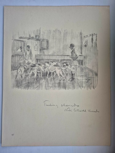 Antique pencil drawing fox - antique,