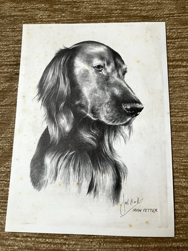 Vintage joel kirk - vintage, print