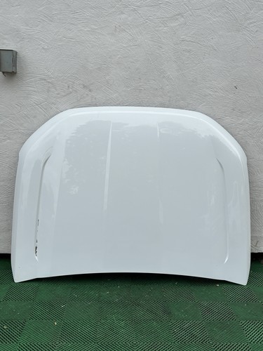 Ford ranger bonnet - bonnet, hood