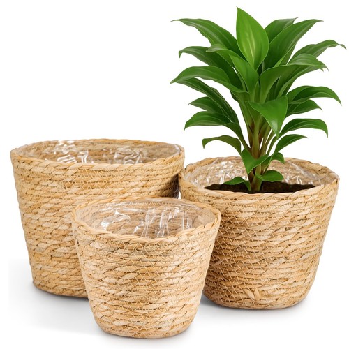 Pcs wicker plant - wicker, pots