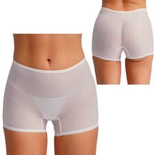 Womens Mesh Briefs Low Rise