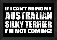 Australian Silky Terrier