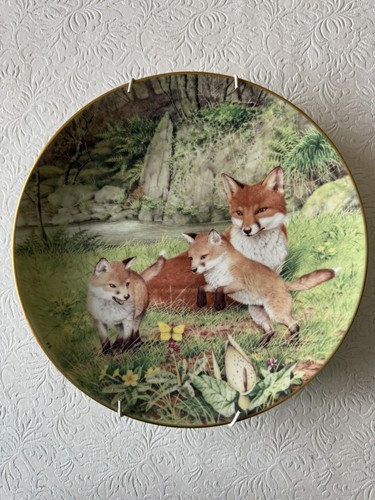 The woodland year peter - woodland,