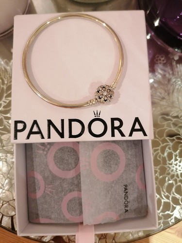 Pandora silver moments - silver,