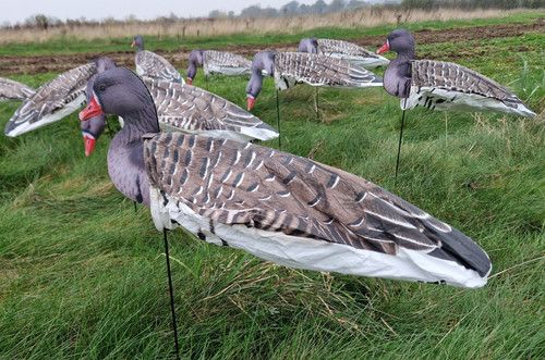 Goose decoys ghg prograde - ghg,