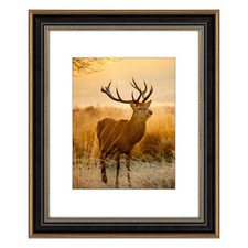 16x20 Picture Frame with White