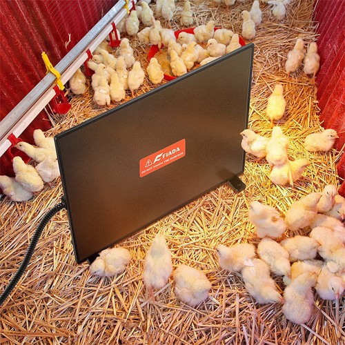 Chicken coop heater safe - heater,