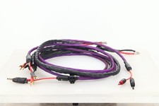 The Missing Link - The Link